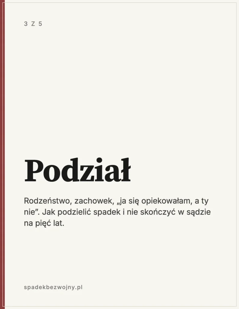 Okładka ebooka Podział