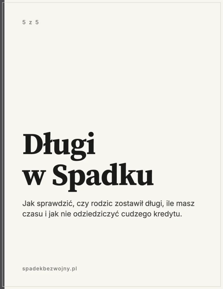 Okładka: Długi w Spadku